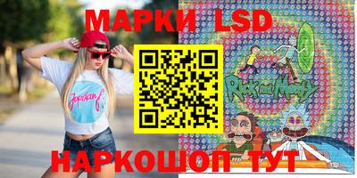 МДПВ Бердск