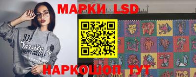 МДПВ Бердск