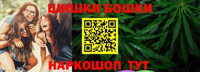 МДПВ Бердск