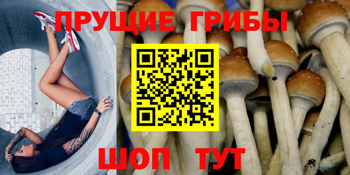 Псилоцибиновые грибы прущие грибы Верхняя Пышма